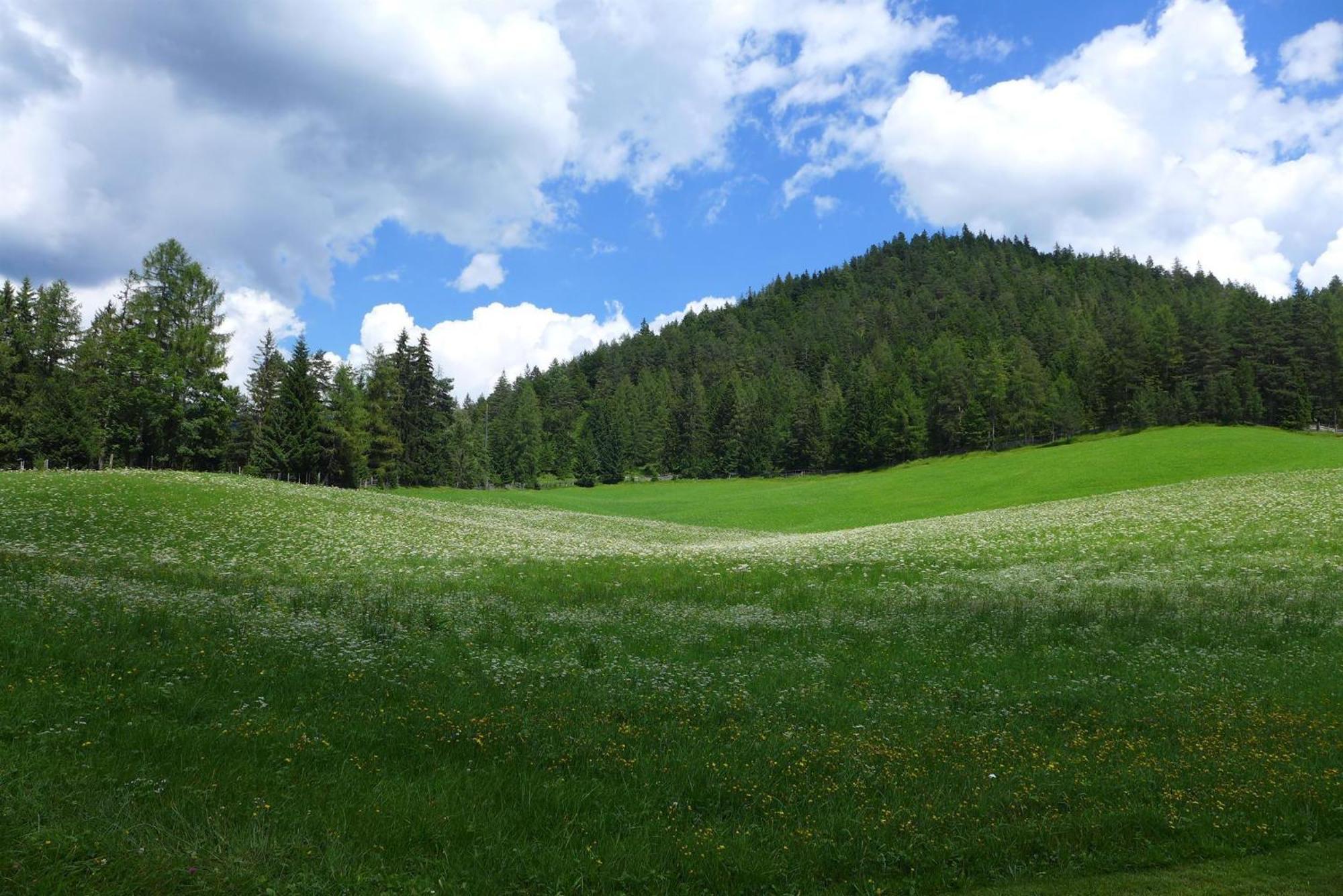 Bauernhaus Durrahof Steinberg am Rofan Exteriör bild
